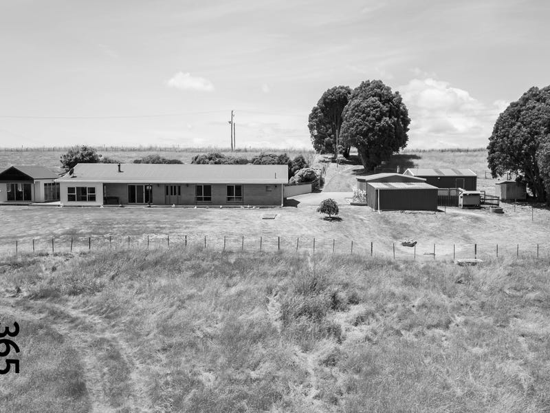 298 Stubbs Road, Forth, Tas 7310 Property Details
