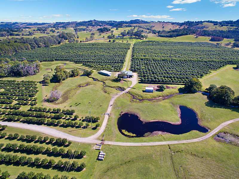 80 Midgen Flat Road, Broken Head, NSW 2481