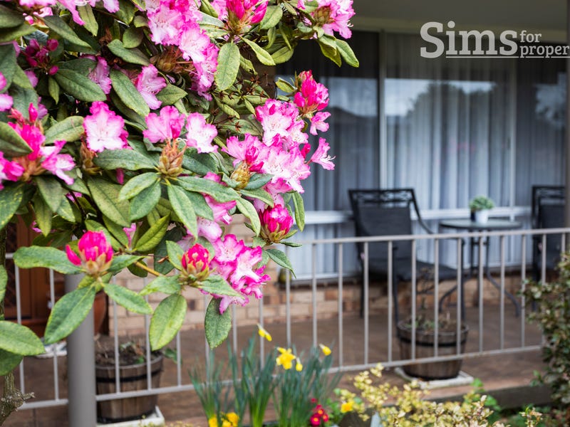 17 Old Bridge Road, Perth, Tas 7300 Property Details