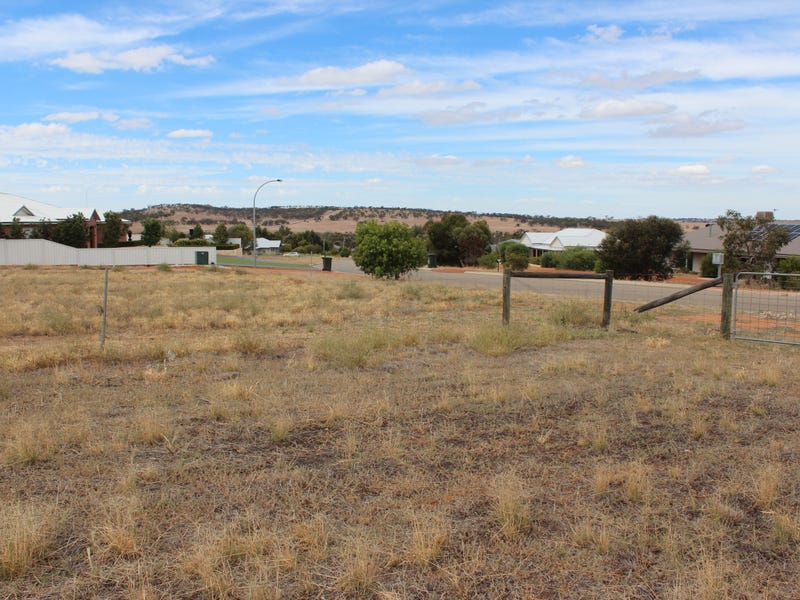 19 Loton Drive, Northam, WA 6401