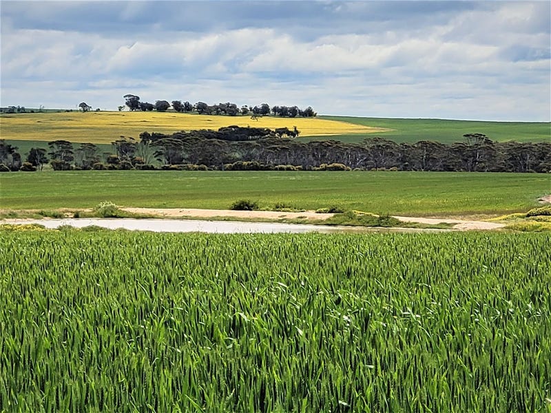 Property 700191835, Katanning, WA 6317 Property Details