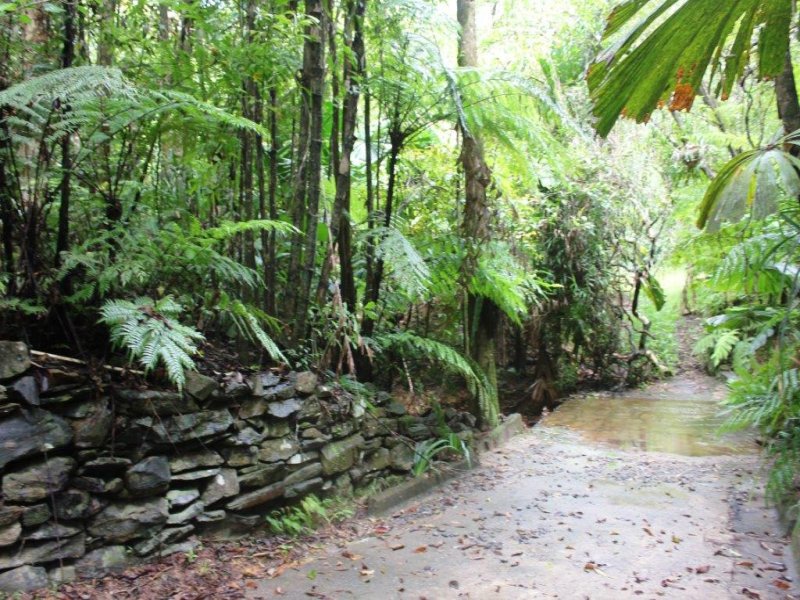 Lot 25 Forest Creek Road, Forest Creek, QLD 4873