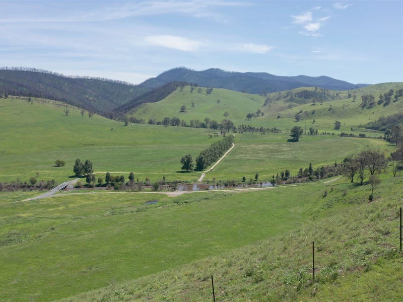 321 Sunny Point Road, Buchan, VIC 3885