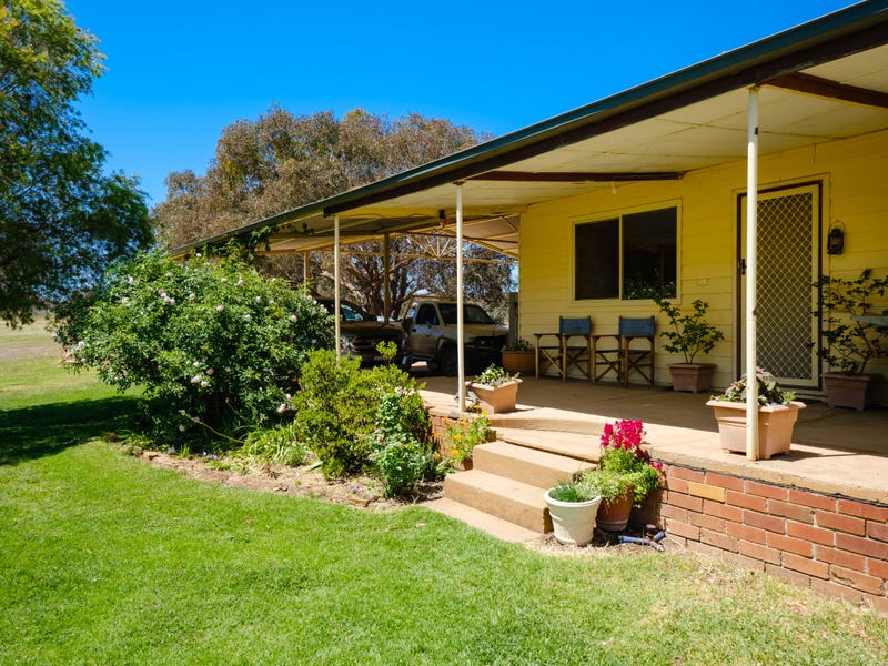 Rural properties for Sale in Holbrook, NSW 2644