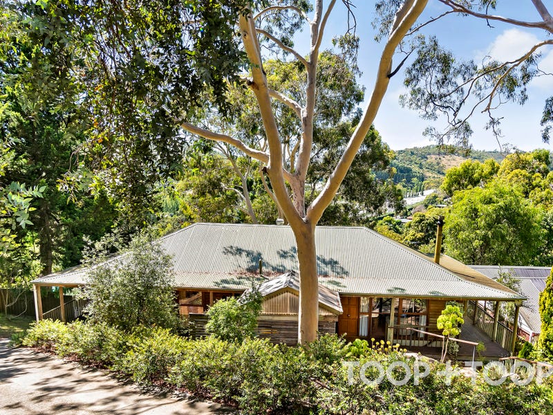 24 Jackson Avenue, Coromandel Valley, SA 5051