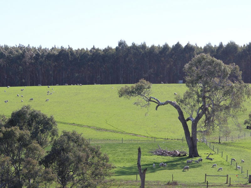 433 CavendishGlendinning Road, Cavendish, Vic 3314 Property Details