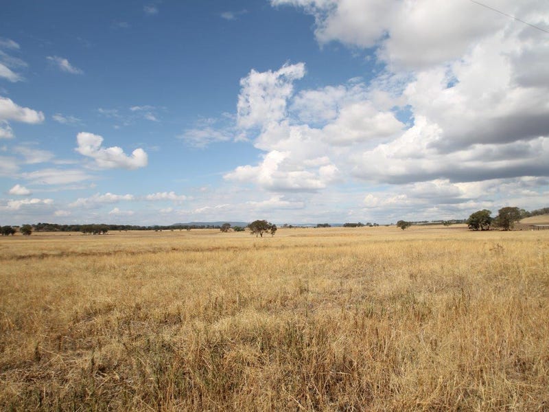 141 Grimshaw Lane, Gulgong, NSW 2852