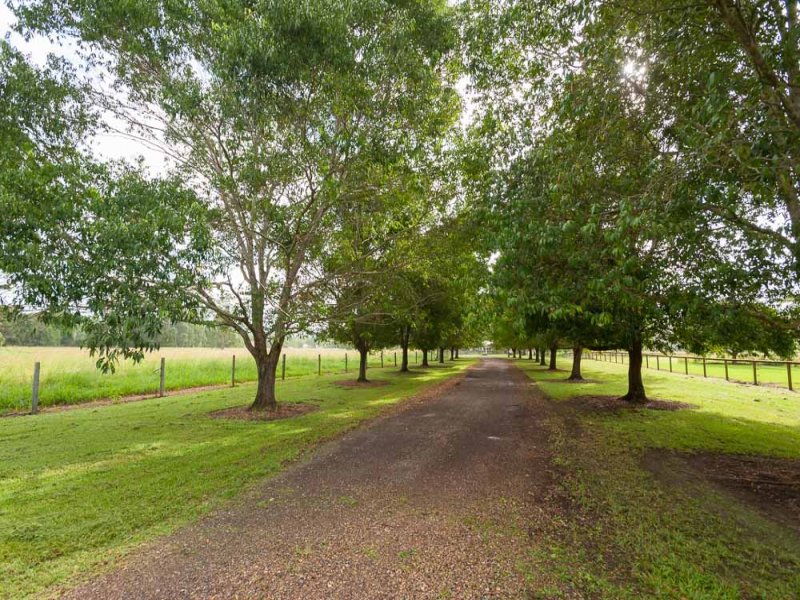 99 McGilchrists Road, Eudlo, Qld 4554 Property Details