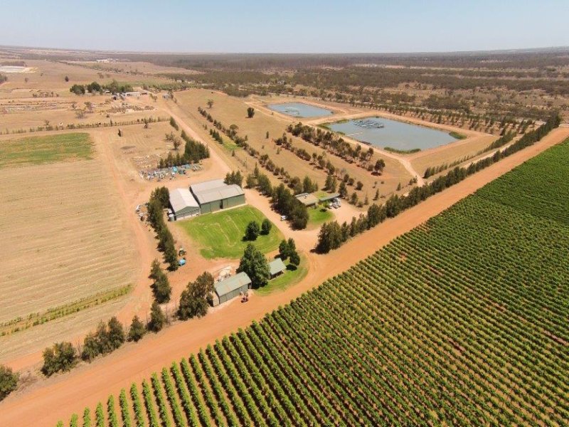Rural properties for Sale in Mildura, VIC 3500