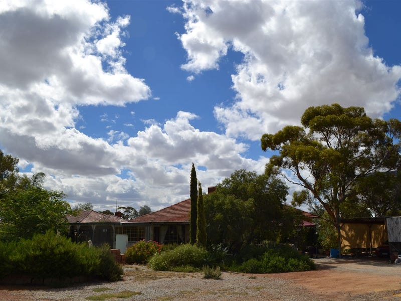 38/38 & 40 Dreyer Street, Tammin, WA 6409 House for Sale realestate