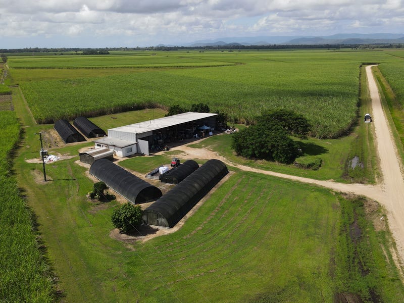 267-mortons-road-lannercost-qld-4850-cropping-for-sale-realestate