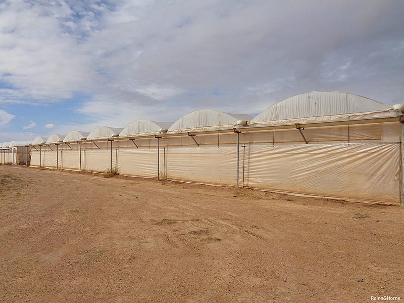 170 Parham Road, Dublin, SA 5501 Property Details