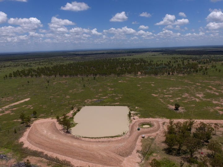 Baralaba address available on request Livestock for Sale 700177310