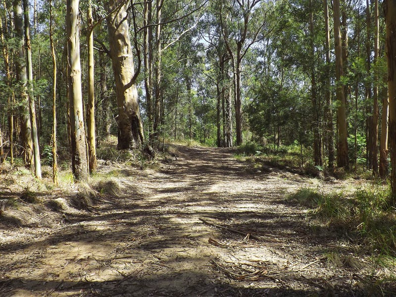 Lot 142 Mount Royal Road, Singleton, NSW 2330 Property Details