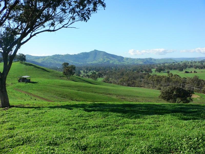 4890 Goulburn Valley Hwy, Molesworth, Vic 3718 Livestock for Sale