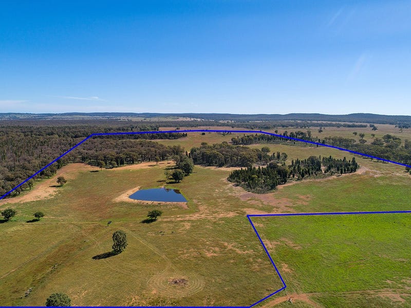 332 Patrick Road, Dunedoo, NSW 2844