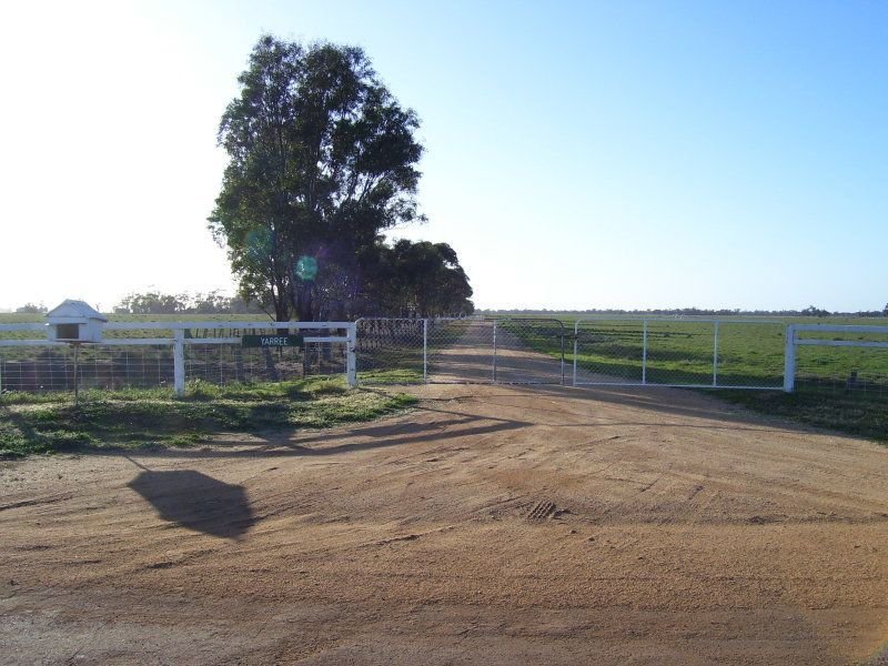 1034 Yarree Road, Mathoura, NSW 2710