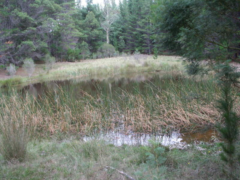 95 Nerriga Road, Braidwood, NSW 2622 Property Details