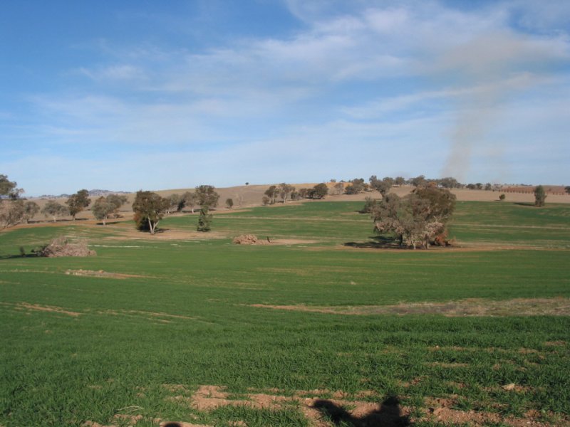 Acres minutes from townReids Flat Road, Cowra, NSW 2794 Property Details