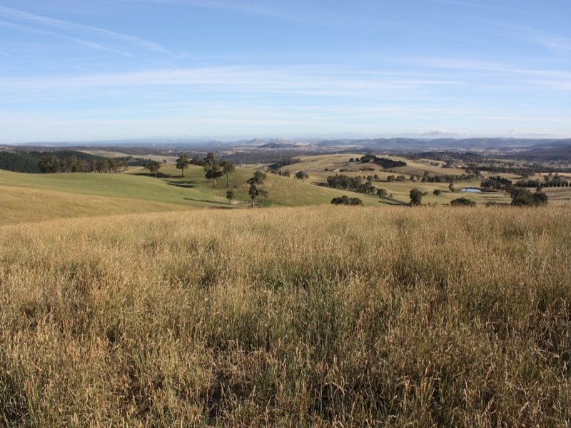 568 Sunny Corner Road, Bathurst, NSW 2795 Property Details