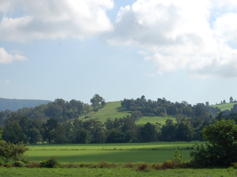 61 Allowrie Street, Jamberoo, NSW 2533 Property Details