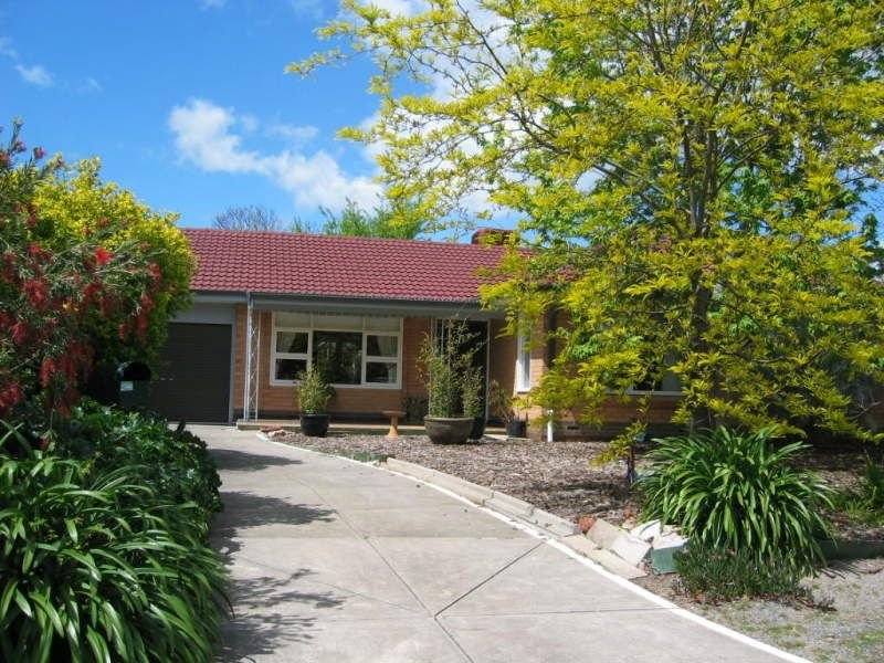 11 Orchard Grove, Newton, SA 5074