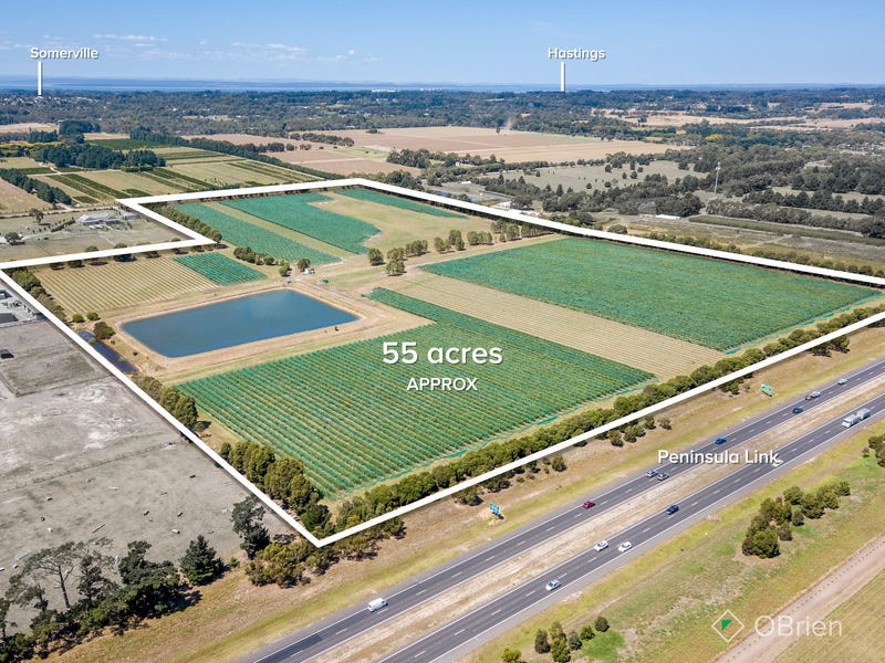 1675 Stumpy Gully Road, Moorooduc, VIC 3933