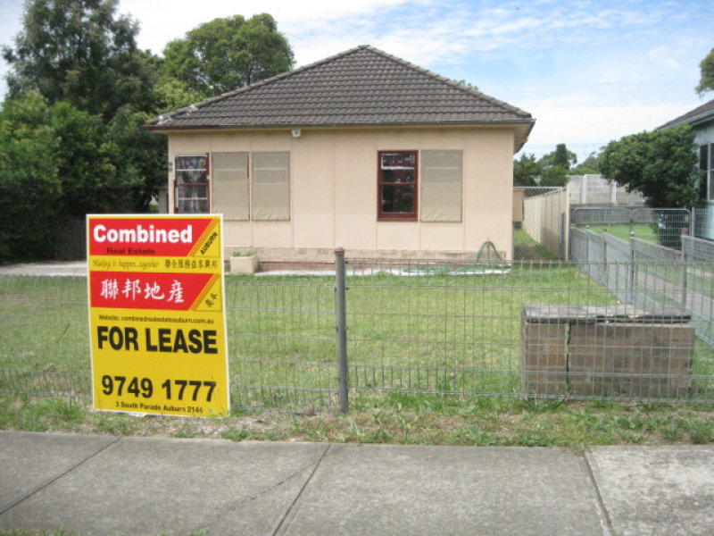 99 Waldron Road, Chester Hill, NSW 2162
