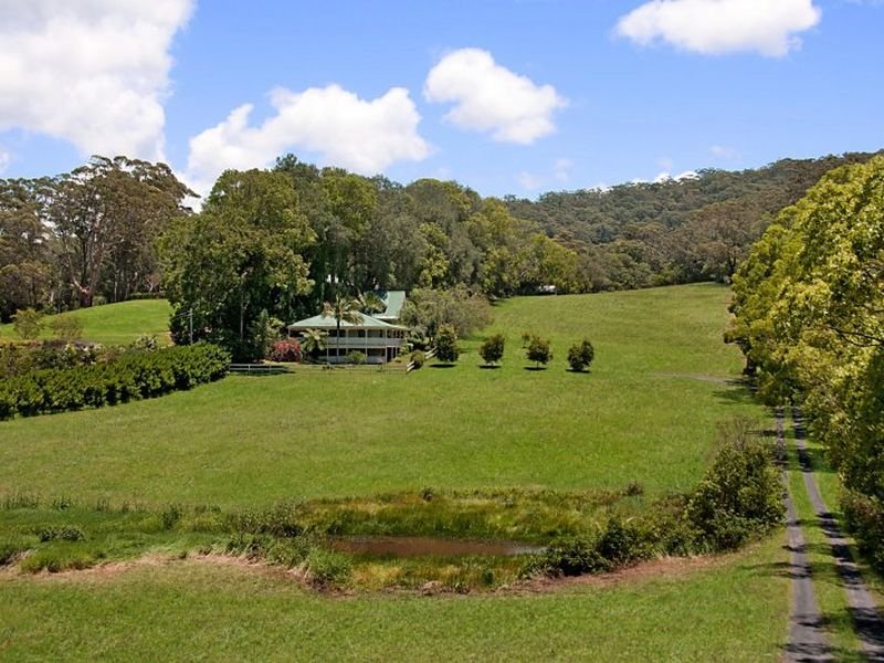 61 Picketts Valley Road, Picketts Valley, NSW 2251
