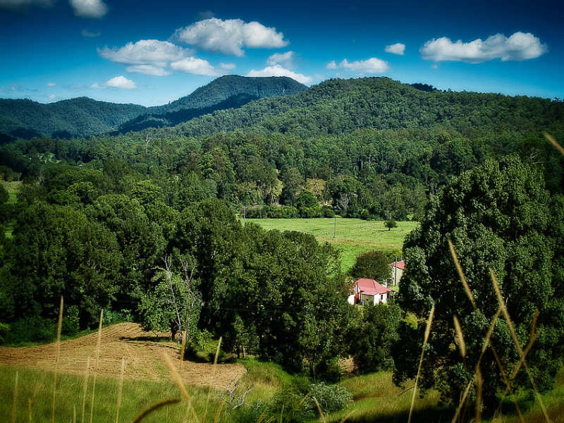 141 Sunny Corner Road, Bellingen, NSW 2454