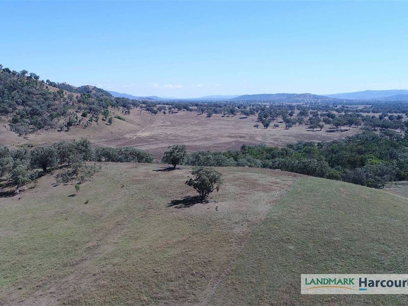 438 Riverstone Road, Upper Horton, NSW 2347 Property Details