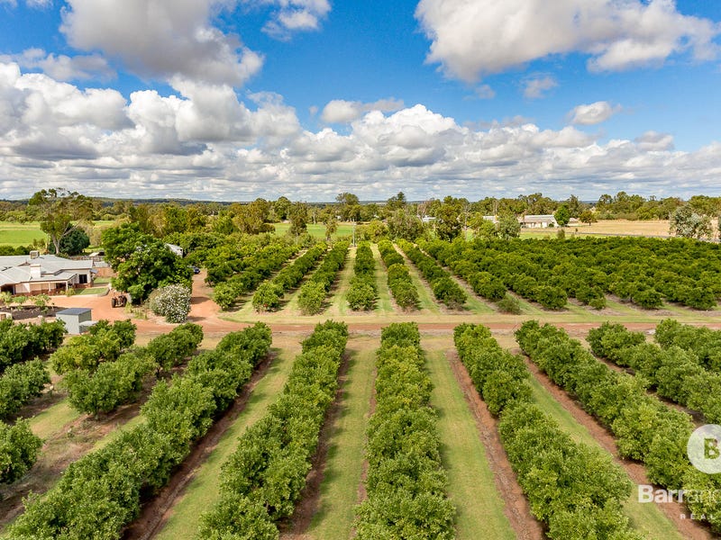 114 Waterloo Road, Dardanup, WA 6236 - Property Details