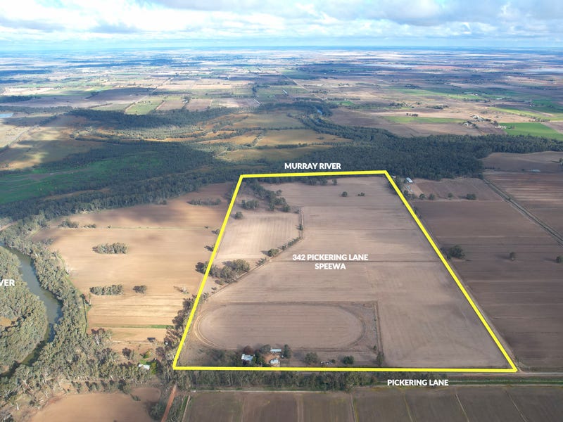 342 Pickering Lane, Speewa, NSW 2735 Lifestyle for Sale realestate