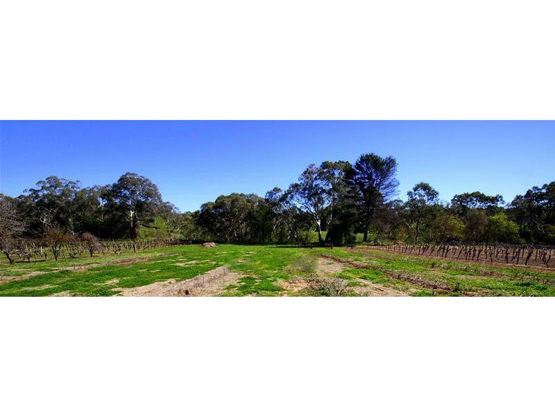86 (Lot 601) Langmeil Road, Tanunda, SA 5352 Property Details