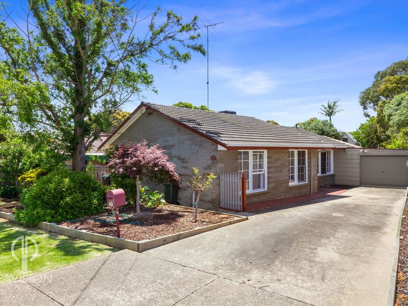 11 Lyrebird Street, Ocean Grove, VIC 3226