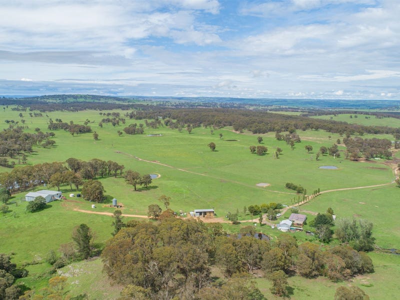 784 Old Brookmount Rd, Walcha, NSW 2354 Livestock for Sale
