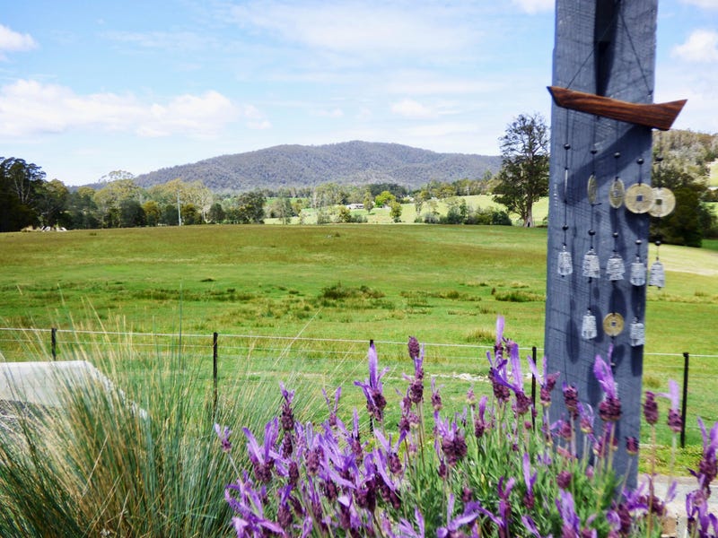 70 Terrys Hill Road, Goshen, Tas 7216 Property Details