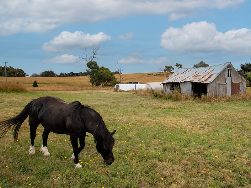 2000 Abercrombie Road, Black Springs, NSW 2787
