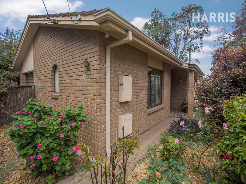 6 Leonard Terrace, Torrens Park, SA 5062