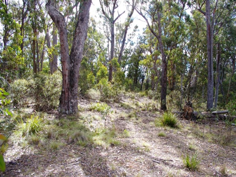 500 Bloomfield Road, Yarrowitch, Walcha, NSW 2354 Property Details