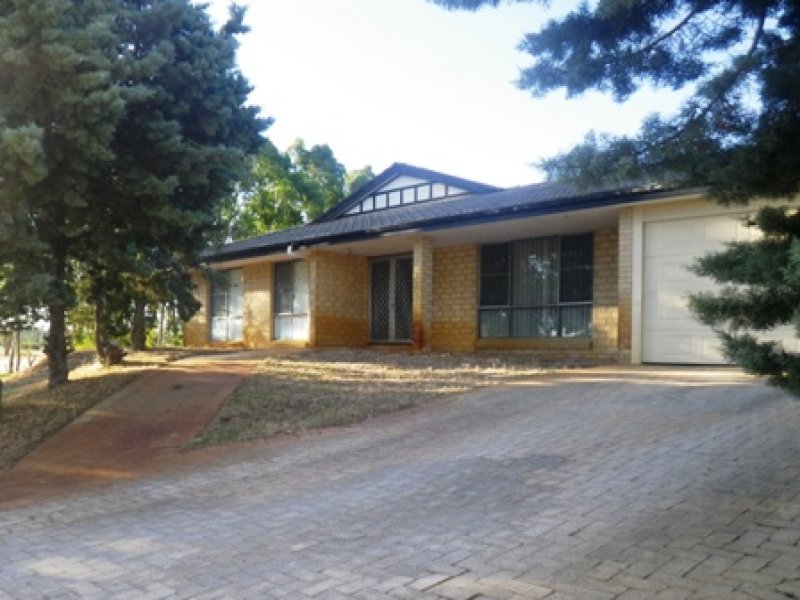 16 Young Road, Baldivis, WA 6171