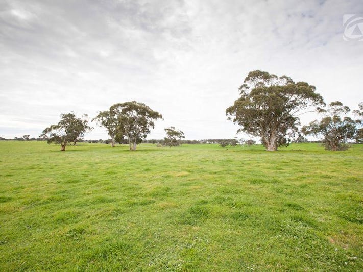 11509 Riddoch Highway, Naracoorte, SA 5271 Property Details