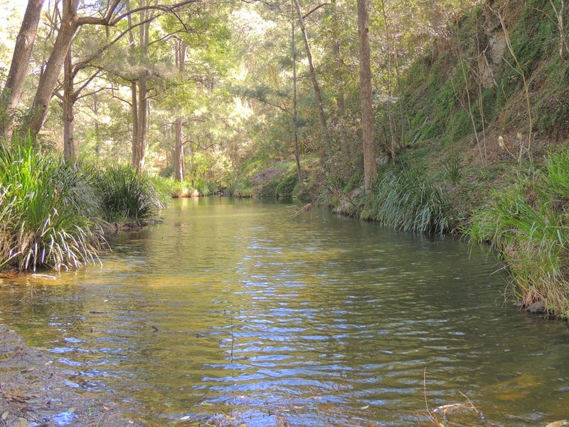 419 Bakers Creek Road, Bakers Creek, NSW 2422