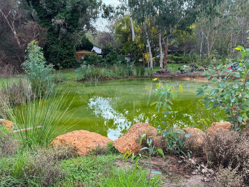 Real Estate & Property for Sale in Mundaring, WA 6073