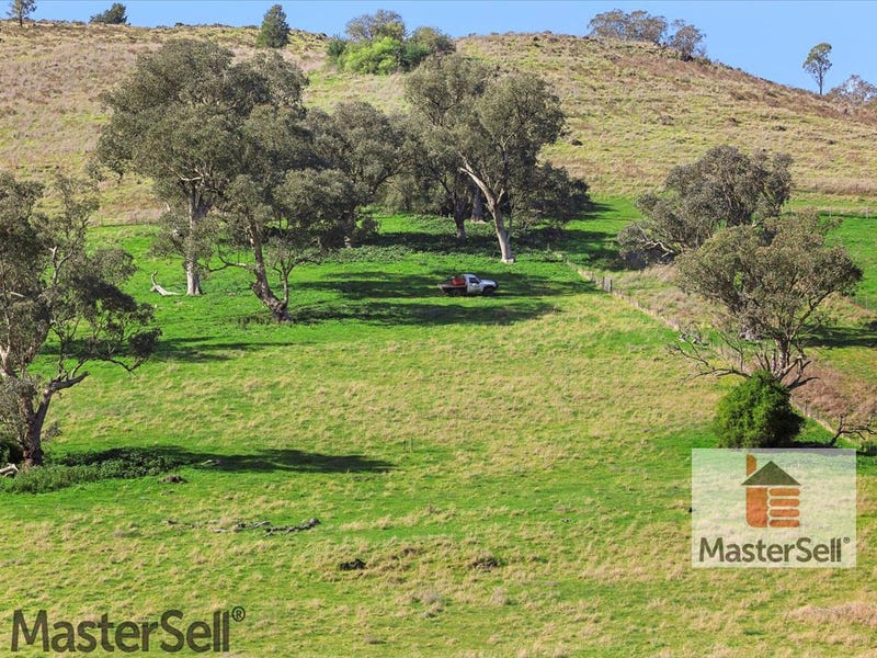 254 Punch Street, Gundagai, NSW 2722 Lifestyle for Sale realestate