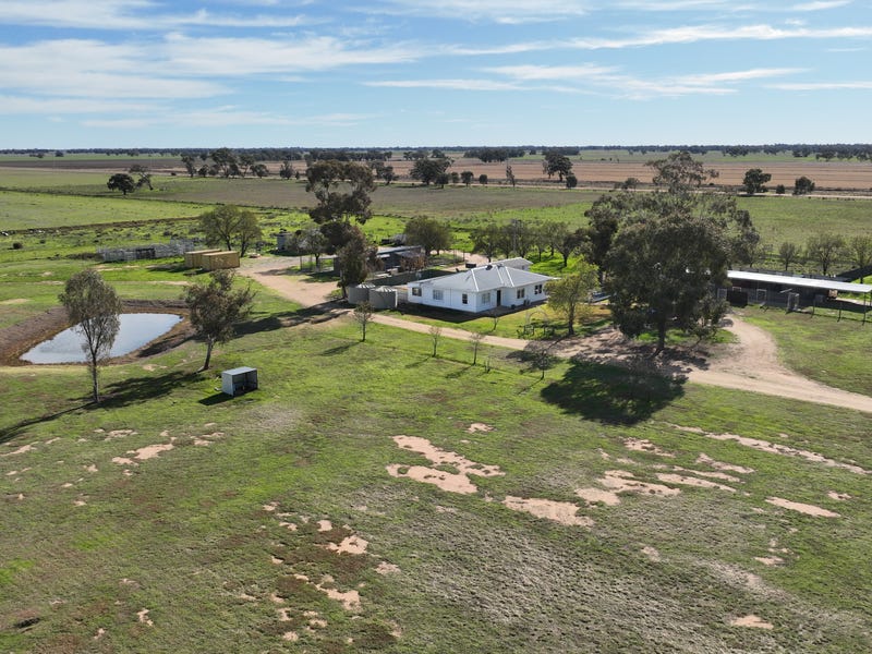 Shady Gums Birganbigil Road, Deniliquin, NSW 2710 - Other for Sale ...