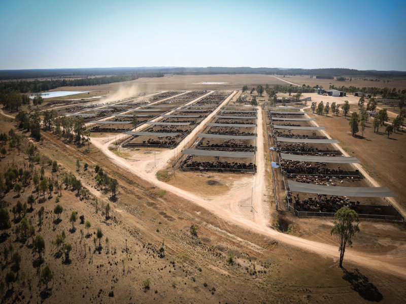 Dunmore Road Cecil Plains Qld 4407 Livestock for Sale 7475411
