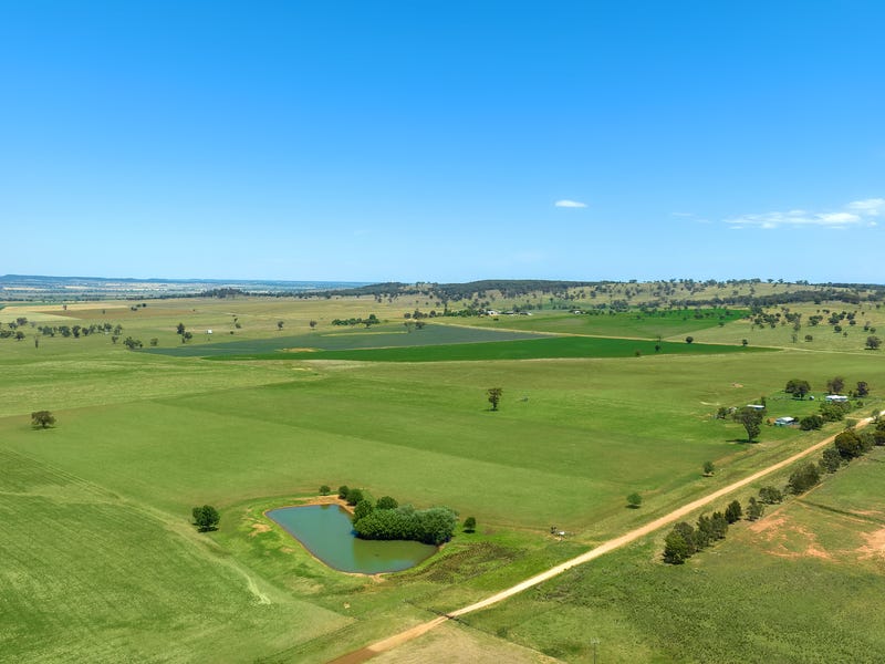 48 Berowra Road, Dunedoo, NSW 2844 Other for Sale
