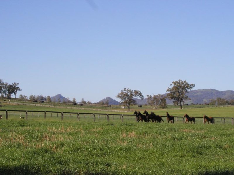 Property 7249699, Scone, NSW 2337 Property Details