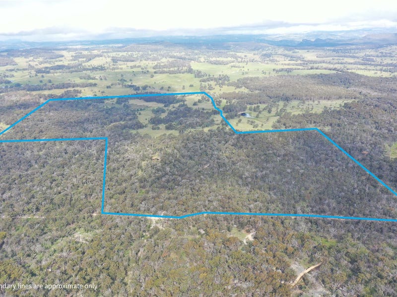 1331 & 1331A Mount McKenzie Road, Tenterfield, NSW 2372 Property Details